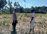 Polri dan Warga Kuripan Bangun Ketahanan Pangan dari Rumah