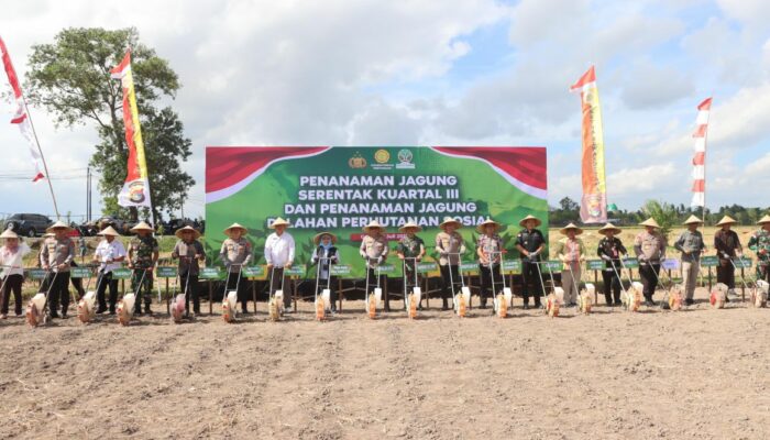 Sinergi Polda dan Pemda di Gerung: 13.000 Hektar Jagung Siap Ditanam Kuartal III