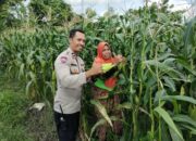 Sinergi Polri dan Petani di Labuapi: Optimalkan Pekarangan untuk Kemandirian Pangan